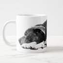 Buscar pitbull tazas Ciénaga