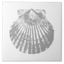 Buscar seashell azulejos Playa
