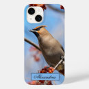 Buscar avaricia fotografía Fotografía de naturaleza