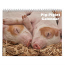 Buscar cerdos calendarios 2025