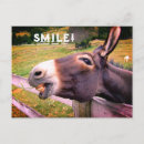 Buscar textos divertidos postales Para todos
