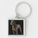 Buscar weimaraner llaveros Tiro del estudio