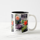 Buscar luz y sombra tazas Flores