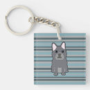 Buscar rayas lindas llaveros Rayado