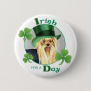 Buscar el día de st patrick chapas Perro