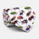 Buscar insectos corbatas Mariposa