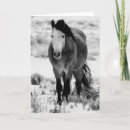 Buscar gestión tarjetas Caballos salvajes de utah