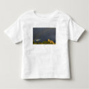 Buscar ignatius camisetas Edificio