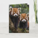 Buscar panda feliz tarjetas Vida silvestre