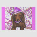 Buscar pelo rojo papel de seda Dachshund