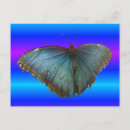 Buscar morpho azul General y unisex