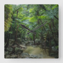 Buscar ríos relojes de pared Bosque