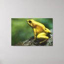 Buscar reptil lienzos Cáscaras