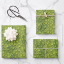 Buscar gotas agua de papel de regalo Fondo