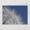 Buscar fragilidad postales Naturaleza