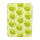 Buscar lima imanes Verano