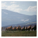 Buscar vaqueros azulejos Al aire libre