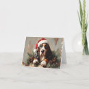 Buscar basset hound tarjetas Lindo