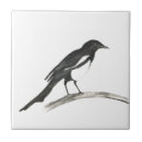 Buscar matador azulejos Animal