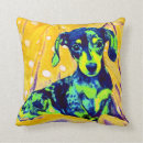 Buscar doxie Azul