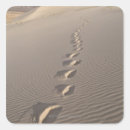 Buscar desierto de california pegatinas Exterior