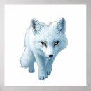 Buscar arctica posters Animal