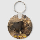 Buscar lion llaveros África