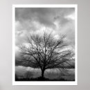 Buscar tempestad de truenos posters Fotografía