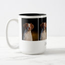 Buscar perro de aguas tazas Amantes del perro