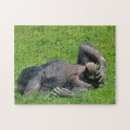 Buscar chimpancé puzzles Foto