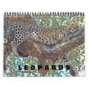 Buscar leopardo calendarios Gatos