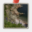 Buscar pintoresco adornos Remoto