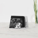 Buscar window postales Fotografía