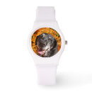 Buscar labradors accesorios Negro