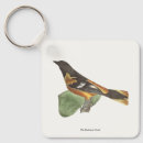 Buscar oriole de baltimore Icterus galbula