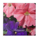 Buscar petunia azulejos Floral