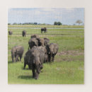 Buscar elefantes puzzles Animales