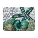 Buscar concha imanes Coral