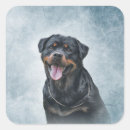 Buscar perro de rottweiler pegatinas Cachorro
