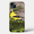 Buscar varón ipad fundas Fauna
