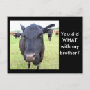 Buscar carne de vaca postales Granja