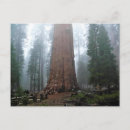 Buscar sherman postales California