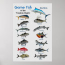 Buscar caza posters General y unisex