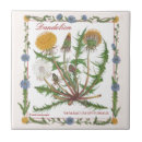 Buscar el cultivar un huerto azulejos Hierbas