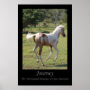 Buscar caballos españoles posters Mustang