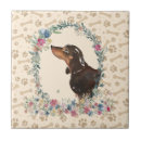 Buscar paw azulejos Negro