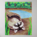 Buscar mapache posters Vida silvestre