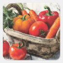 Buscar tomate fresco pegatinas Verduras