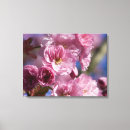 Buscar flor de cerezo arte Flores