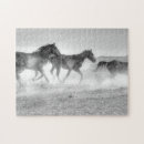 Buscar llano puzzles Campo